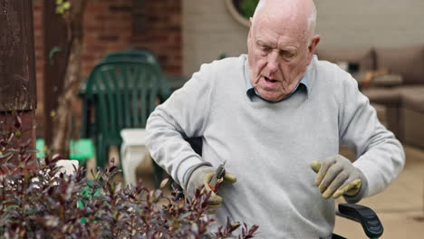 senior man gardening in his yard