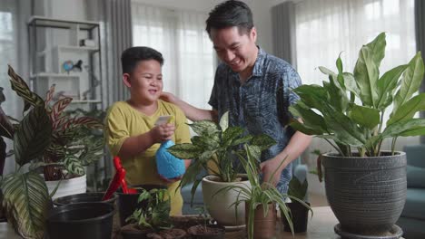 Father And Son Taking Care Of Plant At Home