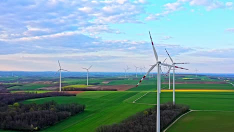 wind turbines on evergreen fields with rapeseed oil canola in countryside