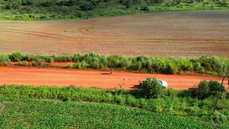 Sojabohnenfeld-Wächst-In-Abgeholzten-Gebieten-In-Der-Brasilianischen-Savanne---Luftaufnahme