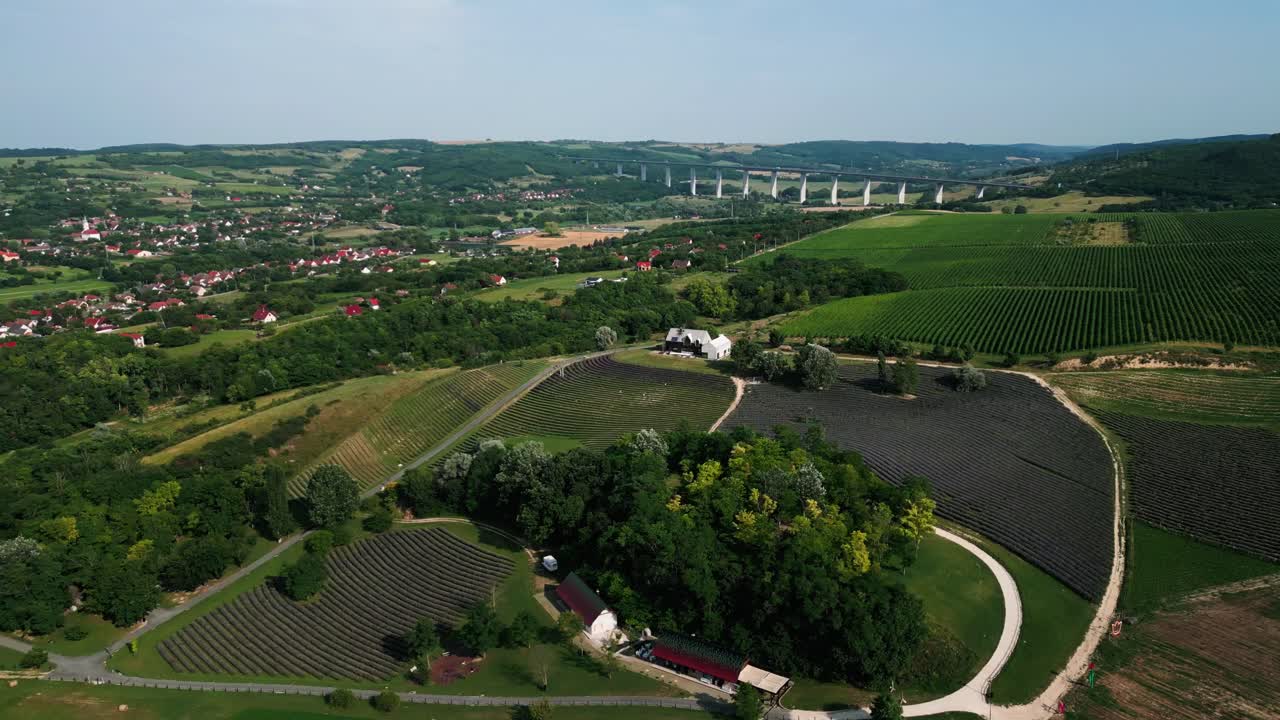 Dronebeeld van een lavendelveld in de zomer