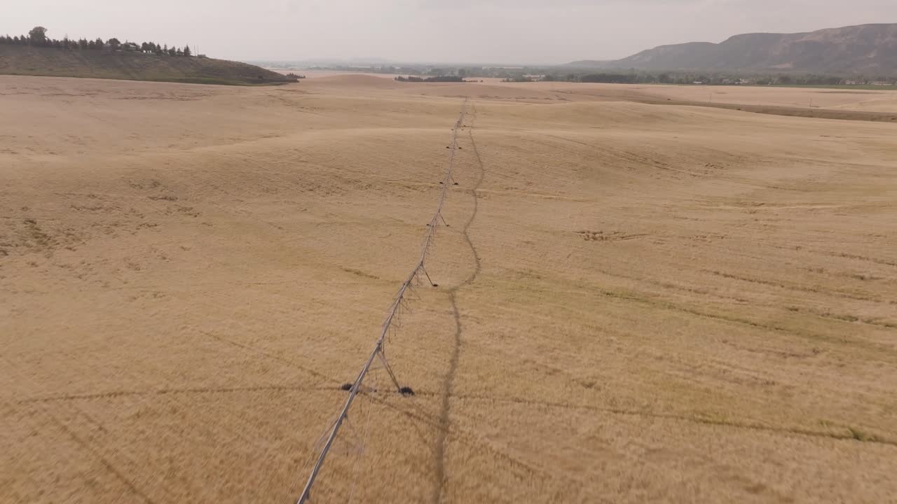 Drone shot of a golden wheat field getting irrigated in Montana