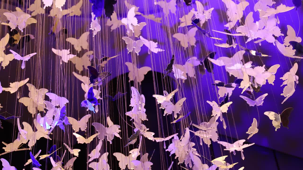 색과 패턴을 바꾸는 잎을 가진 예술 설치