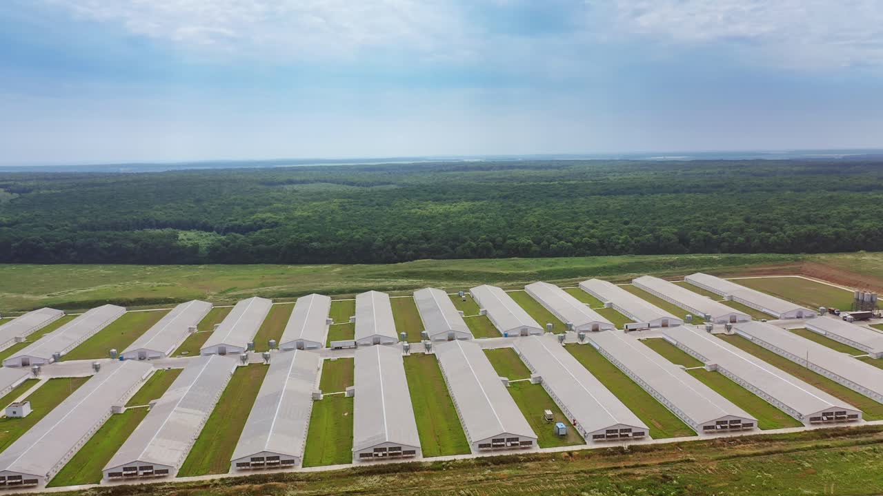 Aerial view of many poultry houses surrounded by natural green environment. Modern buildings of a beautiful farm for livestock outdoors.