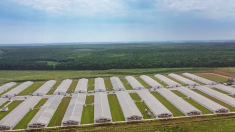 aerial view of many poultry houses surrounded by natural green environment. modern buildings of a beautiful farm for livestock outdoors.