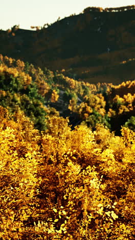 el bosque de otoño dorado