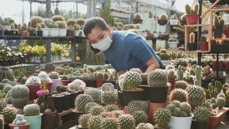 una mujer asiática enmascarada examina los cactus sobre una mesa en un vivero de plantas y recoge una maceta