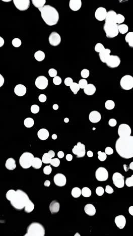 white circle on black background