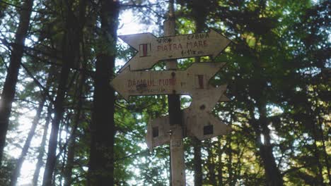 static shot of hiking information panels with a blurry foresty background