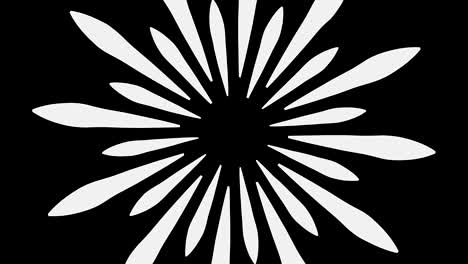 graphic drawing in black and white with stroboscopic and hypnotic effect, while it rotates clockwise and increases in size.