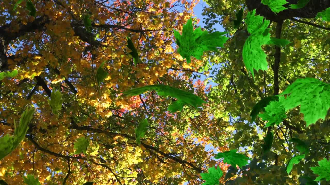 초록색 숲 위에 떨어지는 여러 잎의 애니메이션