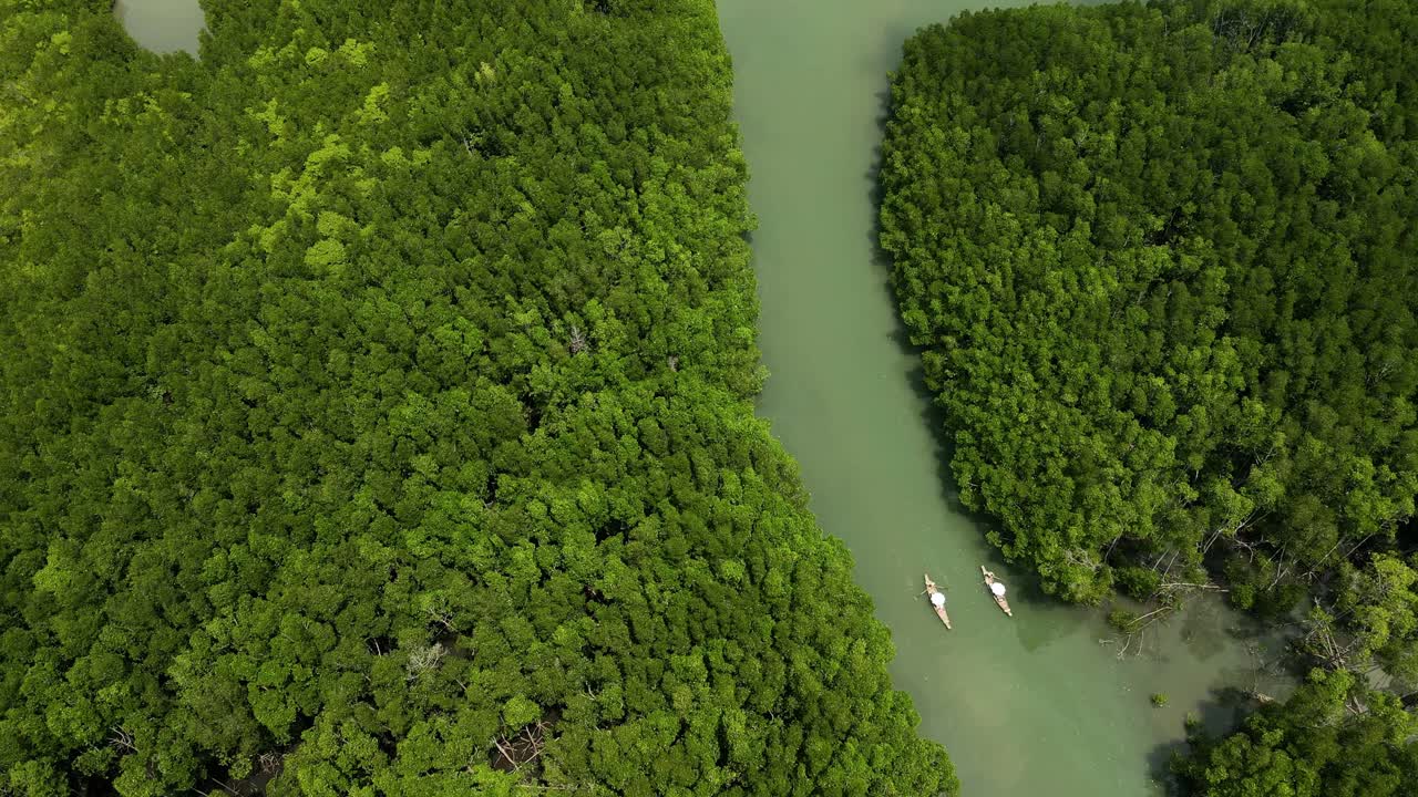강이 있는 맹그로브의 공중 무인 항공기와 태국에서 두 척의 보트