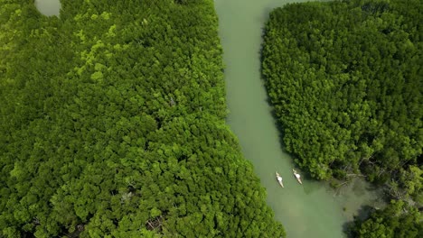 aerial drone of mangroves with river and two boats in thailand
