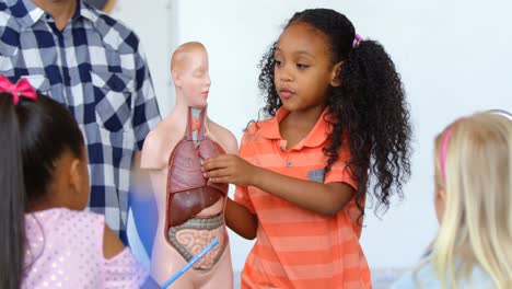 vista frontal de una colegiala afroamericana explicando el modelo de esqueleto humano en el aula 4k
