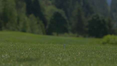 golfer swing driving ball with wood club onto the course in slow motion close up