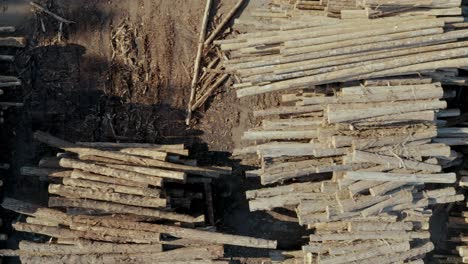 drone flies over piles and piles of cut down wooden trees trunks in oregon