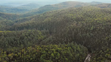 imágenes de drones volando alto hacia una cresta junto a un arroyo sinuoso del bosque