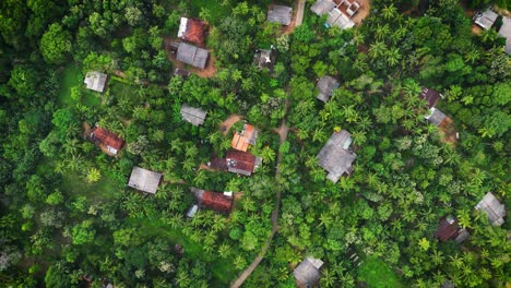 over view of a village in a green forest in sri lanka - sigiriya