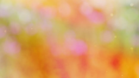 fondo de movimiento de bokeh de bosque abstracto