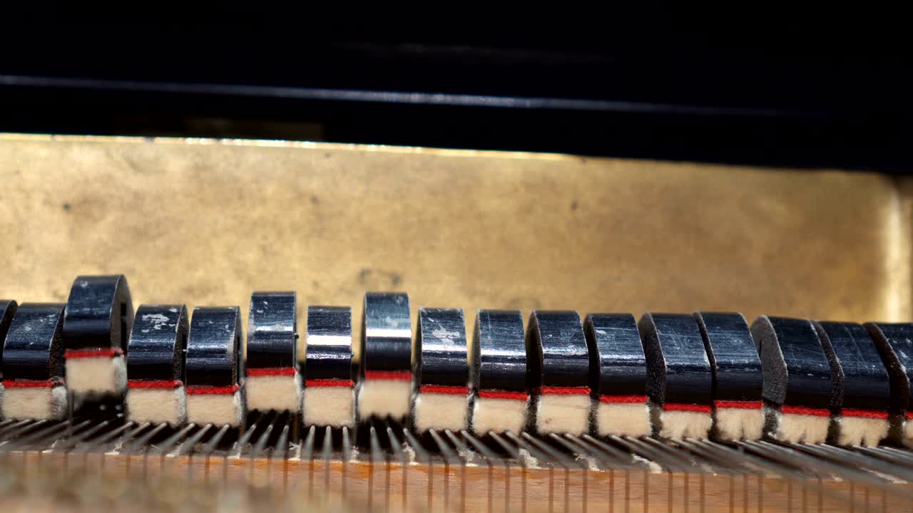 피아노 키의 내부 클로즈업, 루프