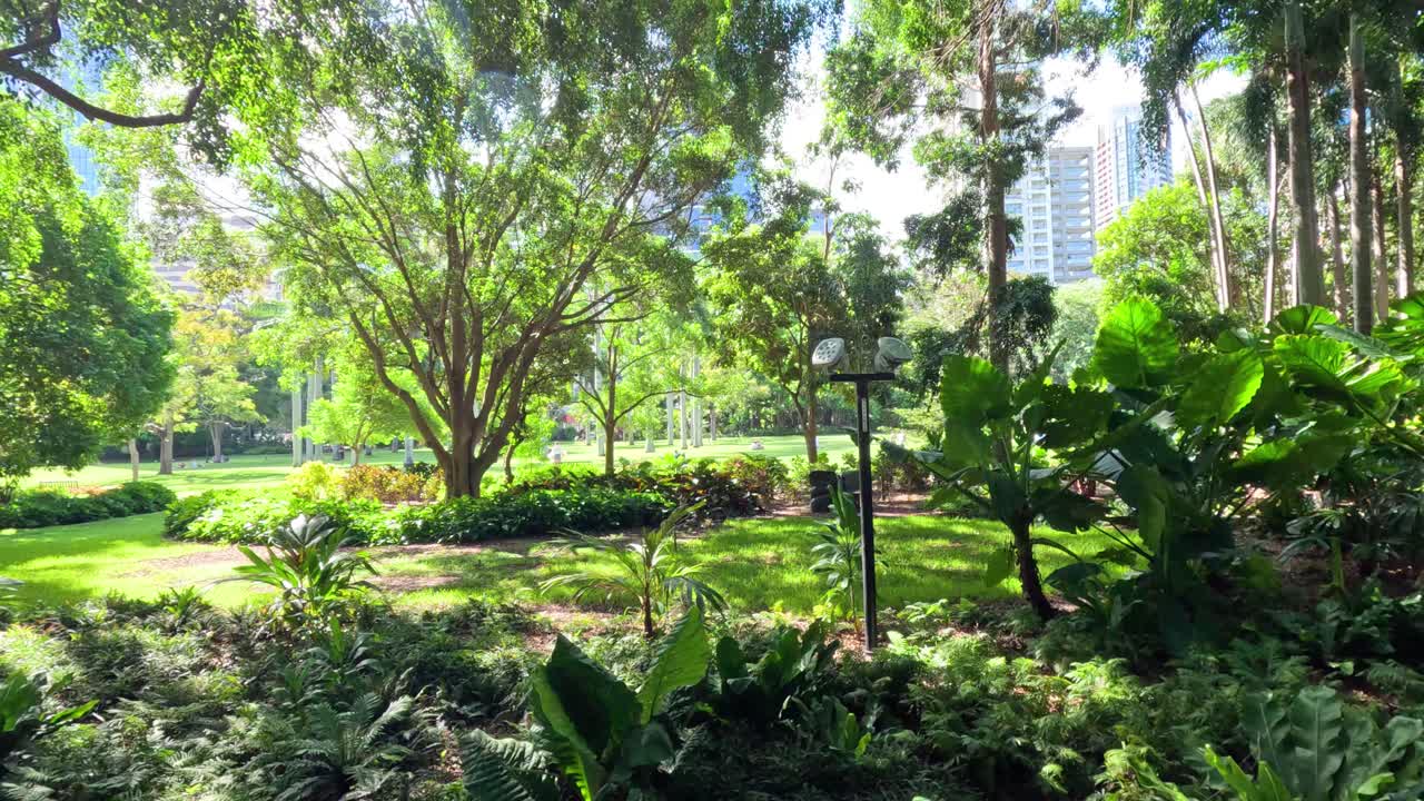 paisaje pacífico del parque cambiando con la luz del sol