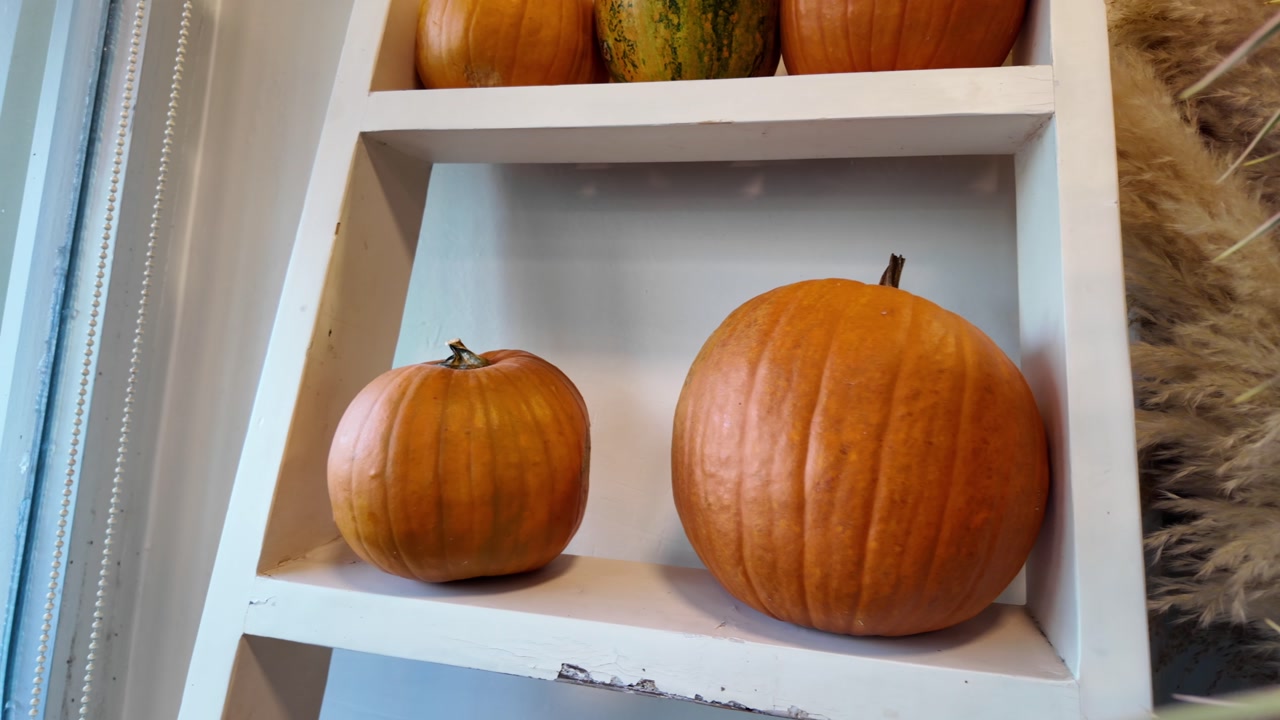Close Up of Orange Pumpkins on a White Decorative Shelf