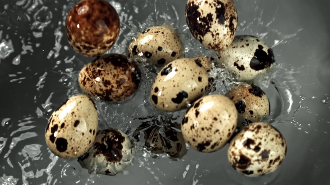 Slow Motion of Quail Eggs Splashing into Water