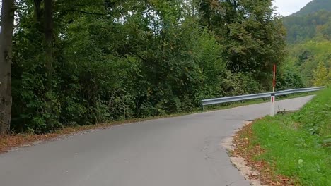 viaje por carretera a través de un bosque