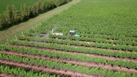 tractor con pulverizador agrícola rociando pesticida químico en el campo de la viña