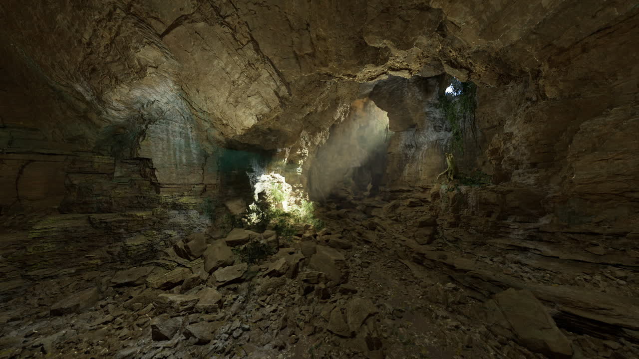 Un brillante fascio di luce illumina la flora resistente sul pavimento della caverna.