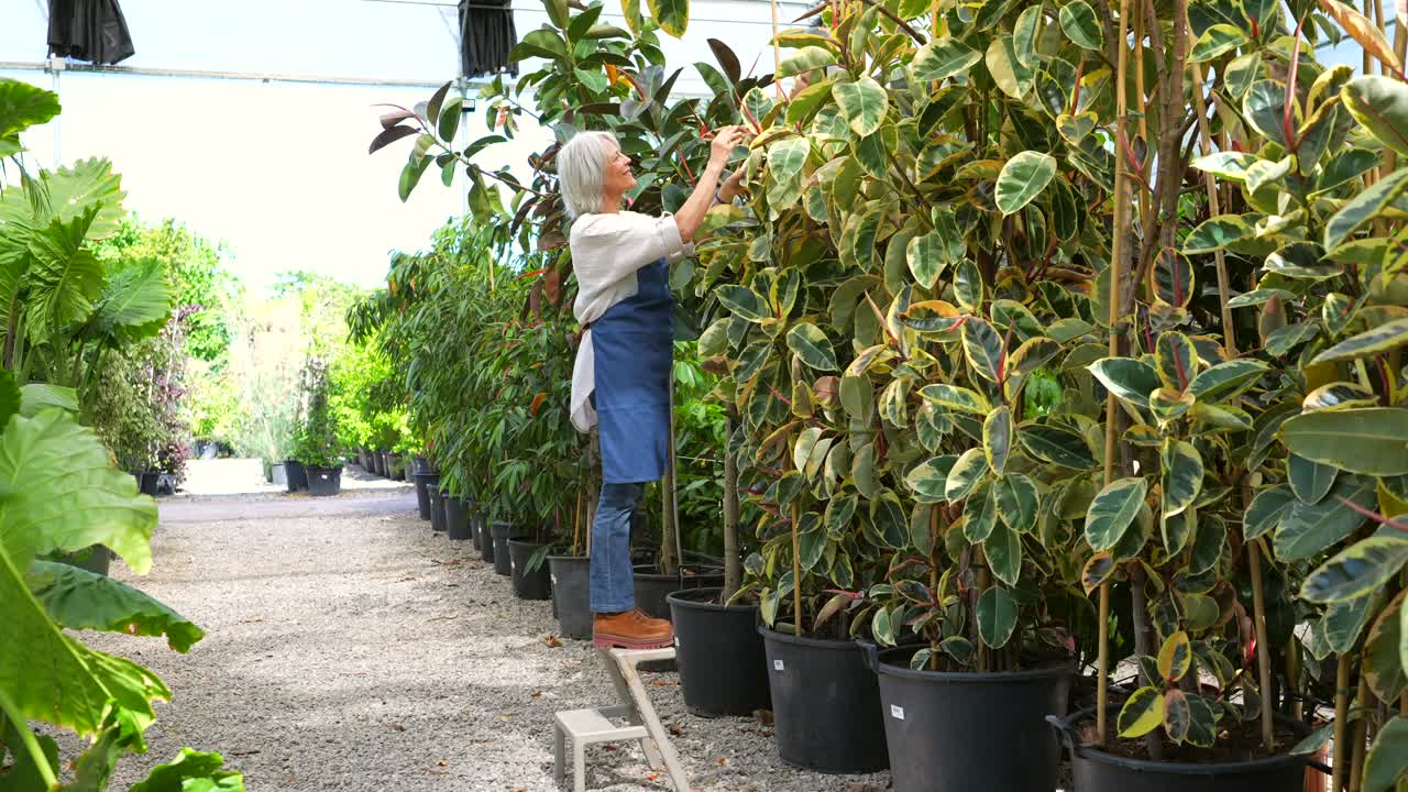 Woman tending to plants in a garden center