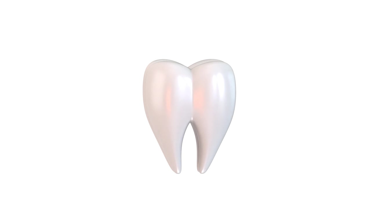 3D Animation of a Rotating Human Molar Tooth