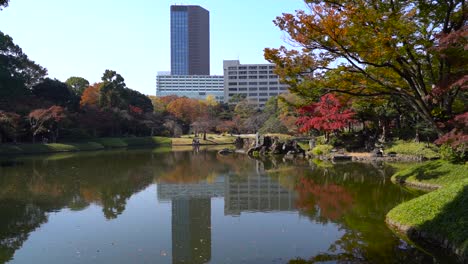 Reveal-of-Koishikawa-Korakuen-gardens-in-Tokyo,-Japan-during-fall-color-season