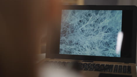 examinar la estructura de la fibra blanca del biomaterial a través de una computadora portátil