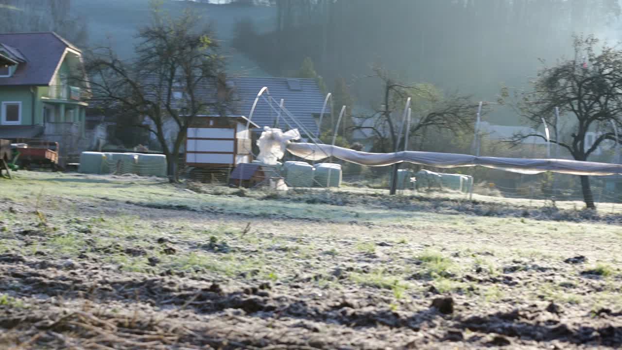 추운 아침 일찍 시골 들판을 패닝