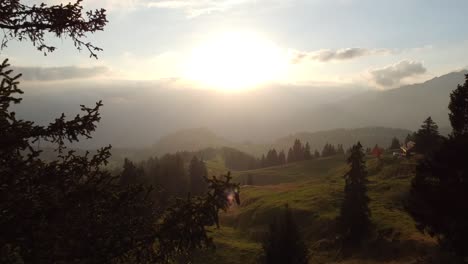 Flying-towards-a-beautiful-sunset-in-Switzeland-with-forest-in-the-foreground