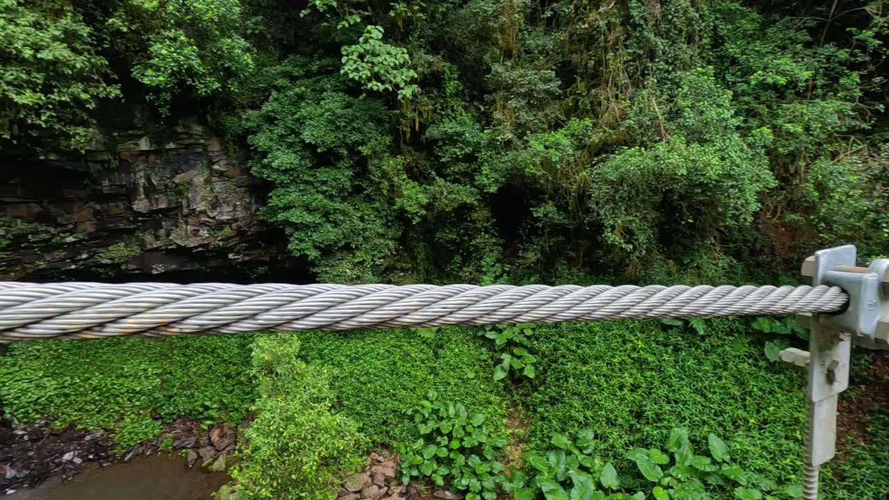 A serene waterfall flows amidst lush greenery, viewed from a metal cable bridge in Dorrigo, NSW, Australia