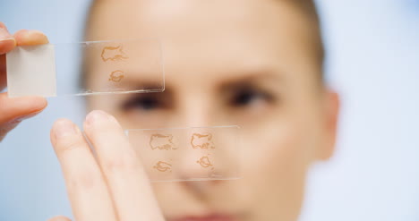 scientist is looking at plates with bacteria at laboratory 2