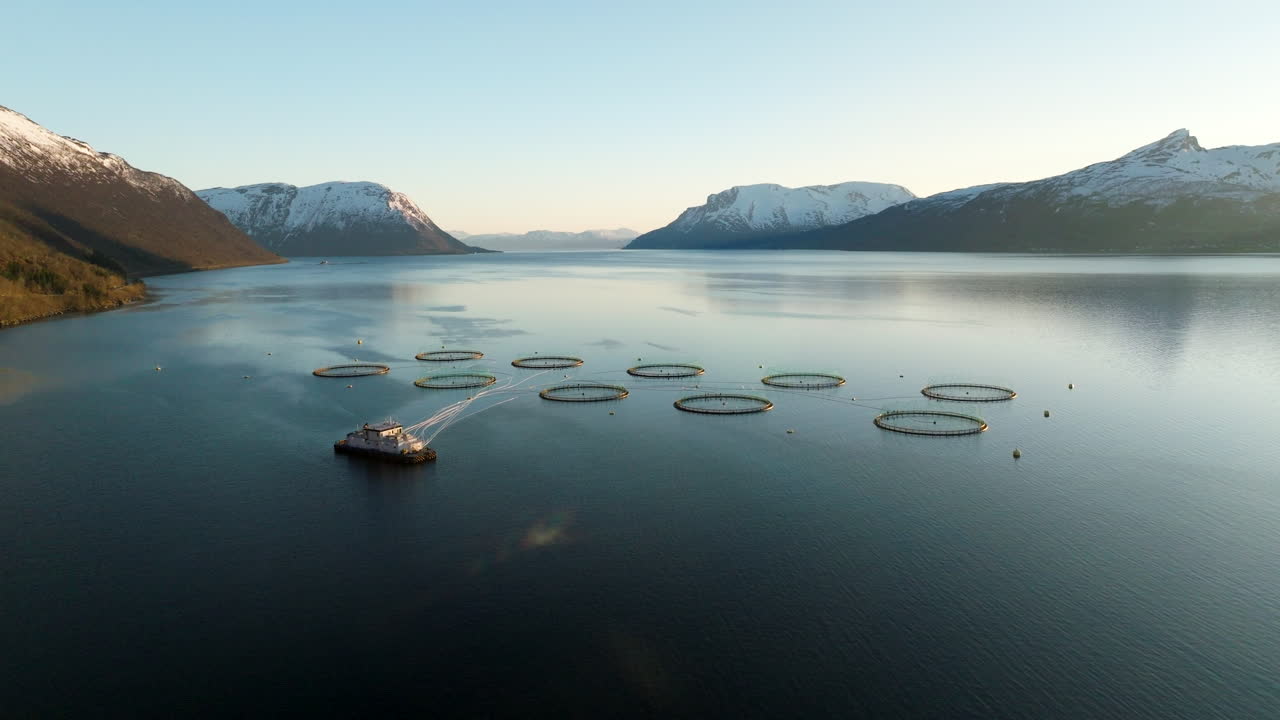 Aerial view of salmon farm with circular cages in fjord, majestic snow-capped mountains in background, Gratangen, Norway. Drone backward ascending