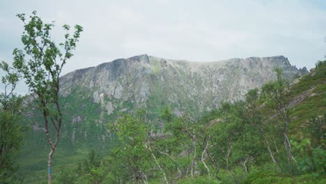 Naturaleza-Tranquila-Con-Vegetación-Verde-Y-Montaña-Rocosa