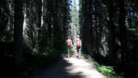 rear view of young caucasian hiker couple with backpack hiking in dense forest 4k