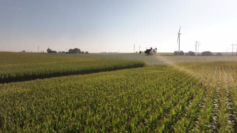 Drones-Agrícolas-Rociando-Productos-Químicos-En-Un-Campo-De-Maíz-En-Iowa-En-El-Verano