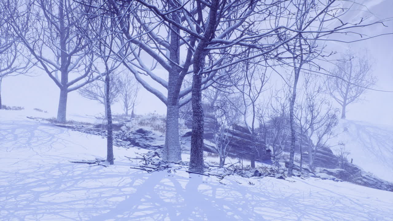 Winter landscape showcasing bare trees surrounded by fresh snowfall