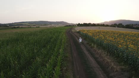 Drone-follows-girl-riding-bike-through-rural-sunflower-scene-evening