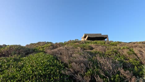 scenic hillside with fort and flying bird