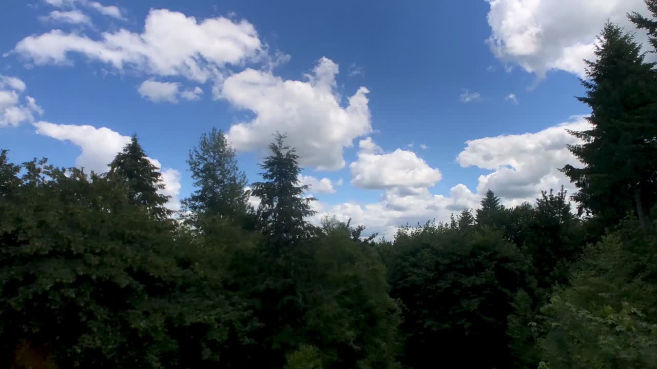 Timelapse of green forest with puffy white clouds against a blue sky
