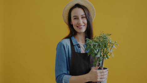 mujer sosteniendo una planta suculenta