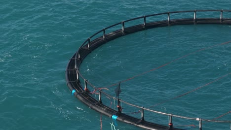 a mid sized marine vessel tows four fish farms along the west australian coast.