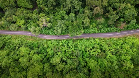 Aerial-top-view-of-remote-road,-drone-following-motorcyclist-over-top-of-mountain-with-green-jungle-in-Sumbawa-Island,-Indonesia