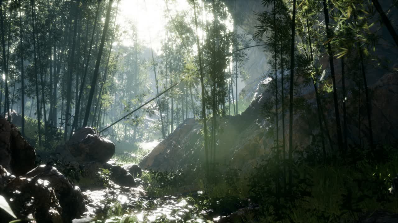 돌이 있는 연못의 연안 근처에 있는 울창한 초록색 대나무 잎.